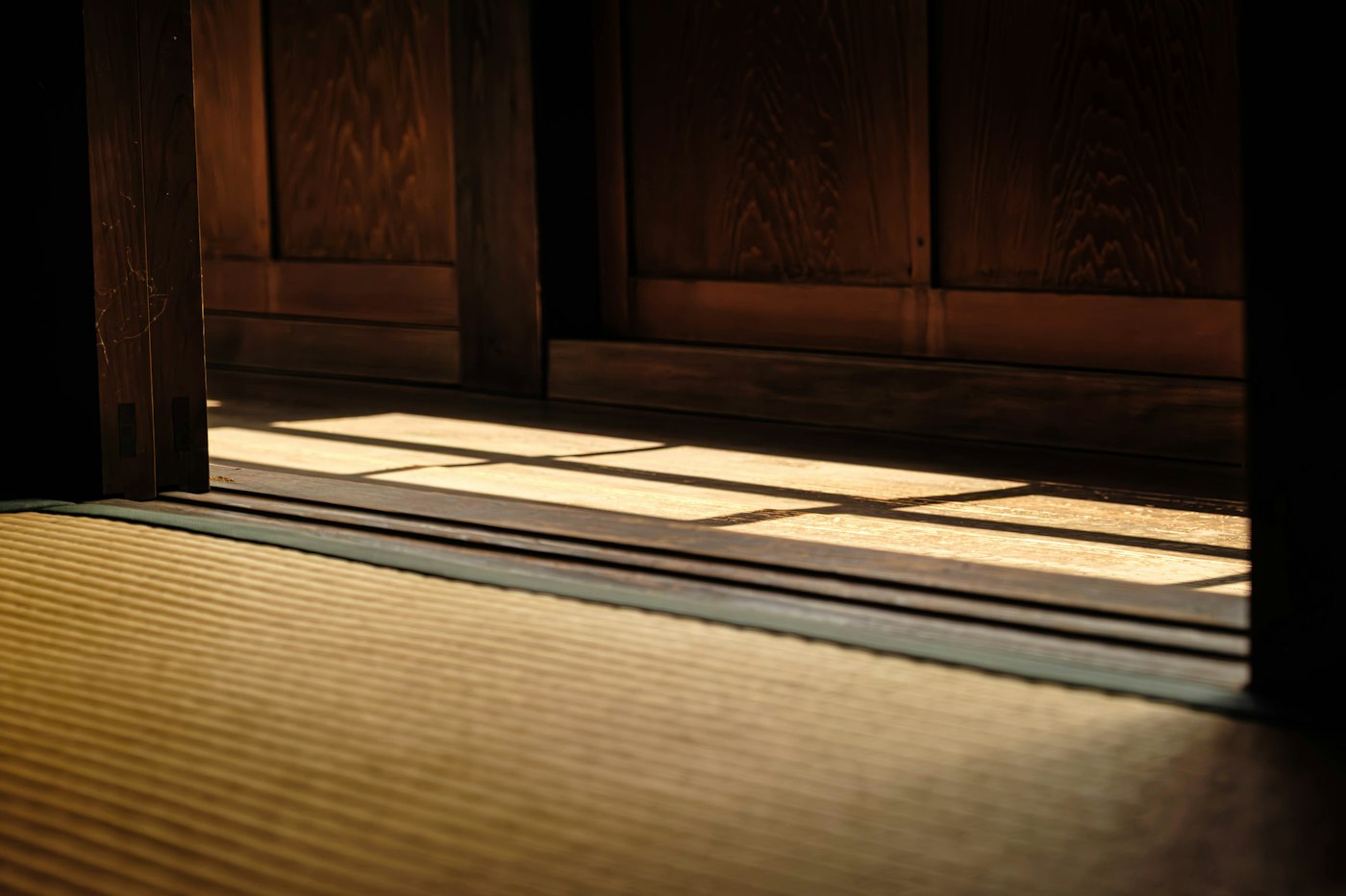 畳の縁ぎわに差し込む光と木製の建具